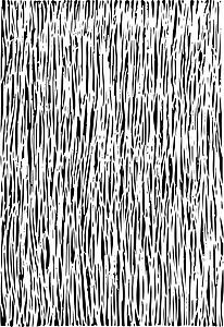 Grass