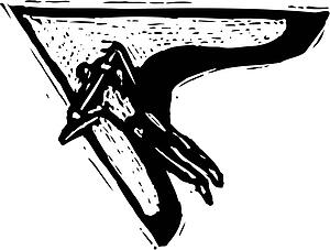Hang Gliding