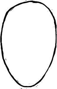 Egg Head