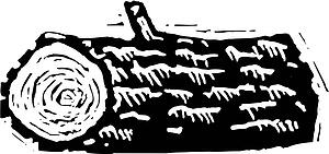 Log