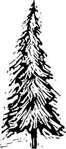 Lone Pine