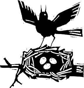 Mom Bird