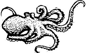 Octopus