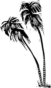 Tall Palms