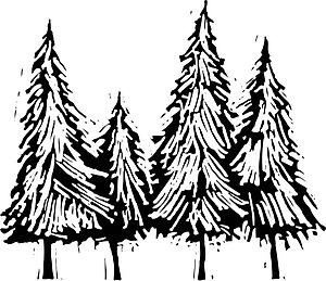 Pine Trees