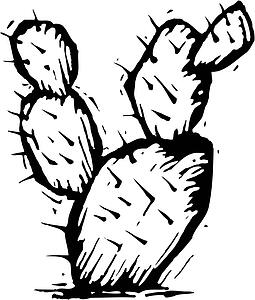 Prickly Pear