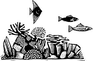 Coral Reef