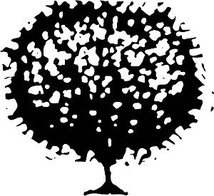 Shrub 1