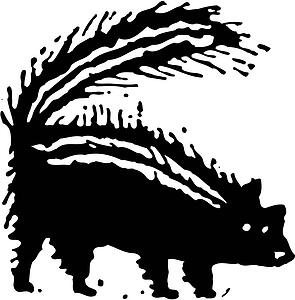 Skunk