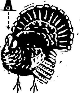 Turkey