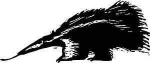 Anteater