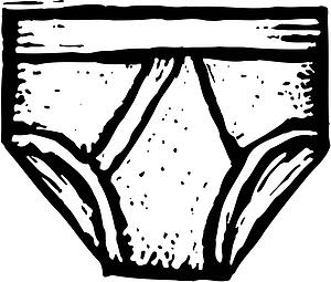Briefs