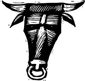 Bull Market