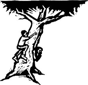 Climbing