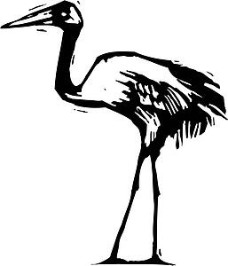 Crane