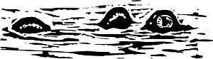 Croc