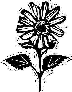 Flower 11