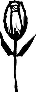 Flower 2