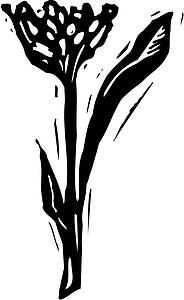 Flower 9