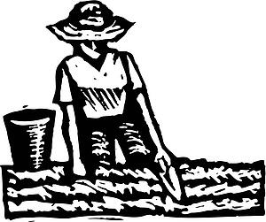 Gardening