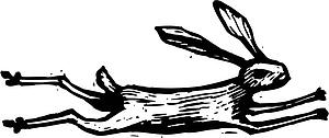 Hare