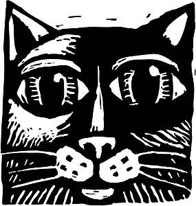Kitty 1