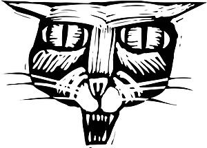 Kitty 5