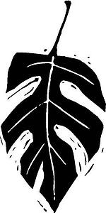 Leaf 1