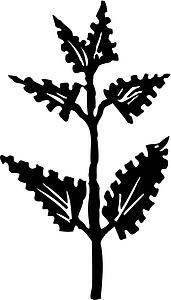 Leaf 2