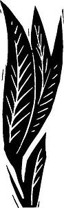 Leaf 4