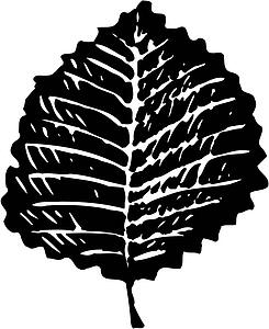 Leaf 7