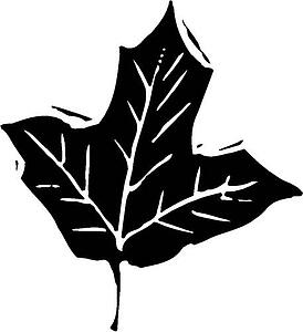 Leaf 9