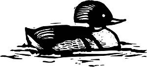 Merganser