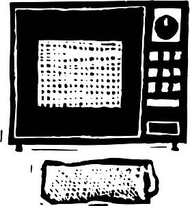 Microwave Burrito