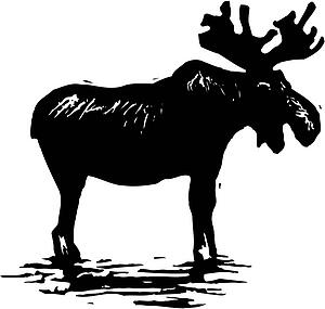 Moose