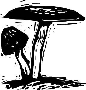 Mushroom
