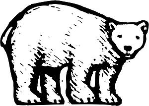 Polar Bear