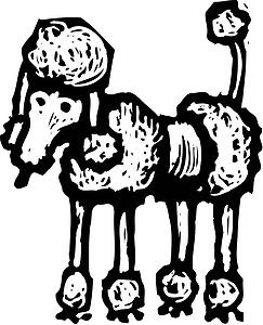 Poodle