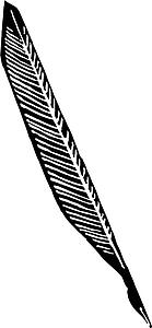 Quill