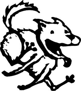 Run