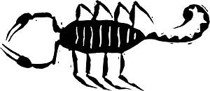Scorpion