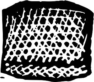 Scrub Pad