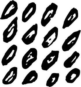 Seeds
