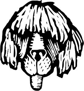Shaggy Dog