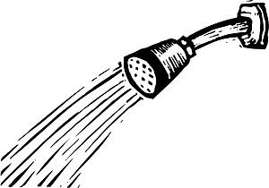 Shower Head