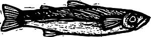 Smelt
