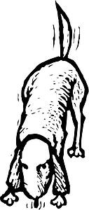 Sniff