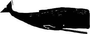 Sperm Whale