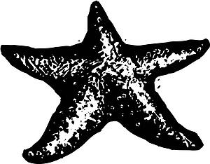 Starfish