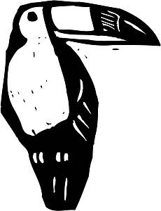 Toucan